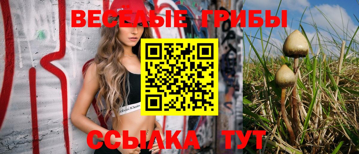 Галлюциногенные грибы ЛСД  Вход с VPN  Благодарный 